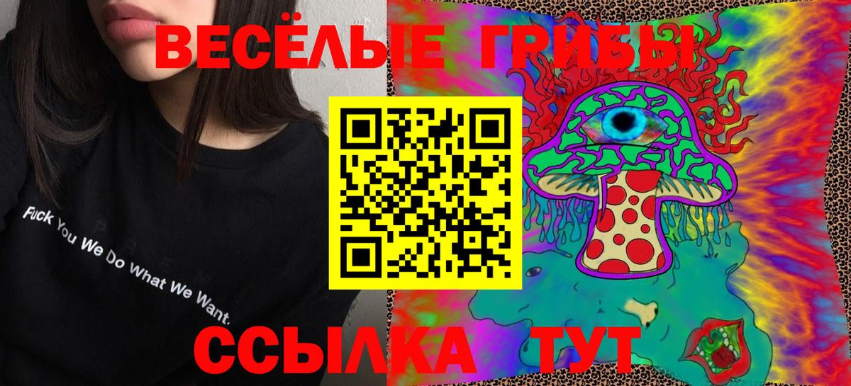 Псилоцибиновые грибы Cubensis  Вход с VPN  Выкса 
